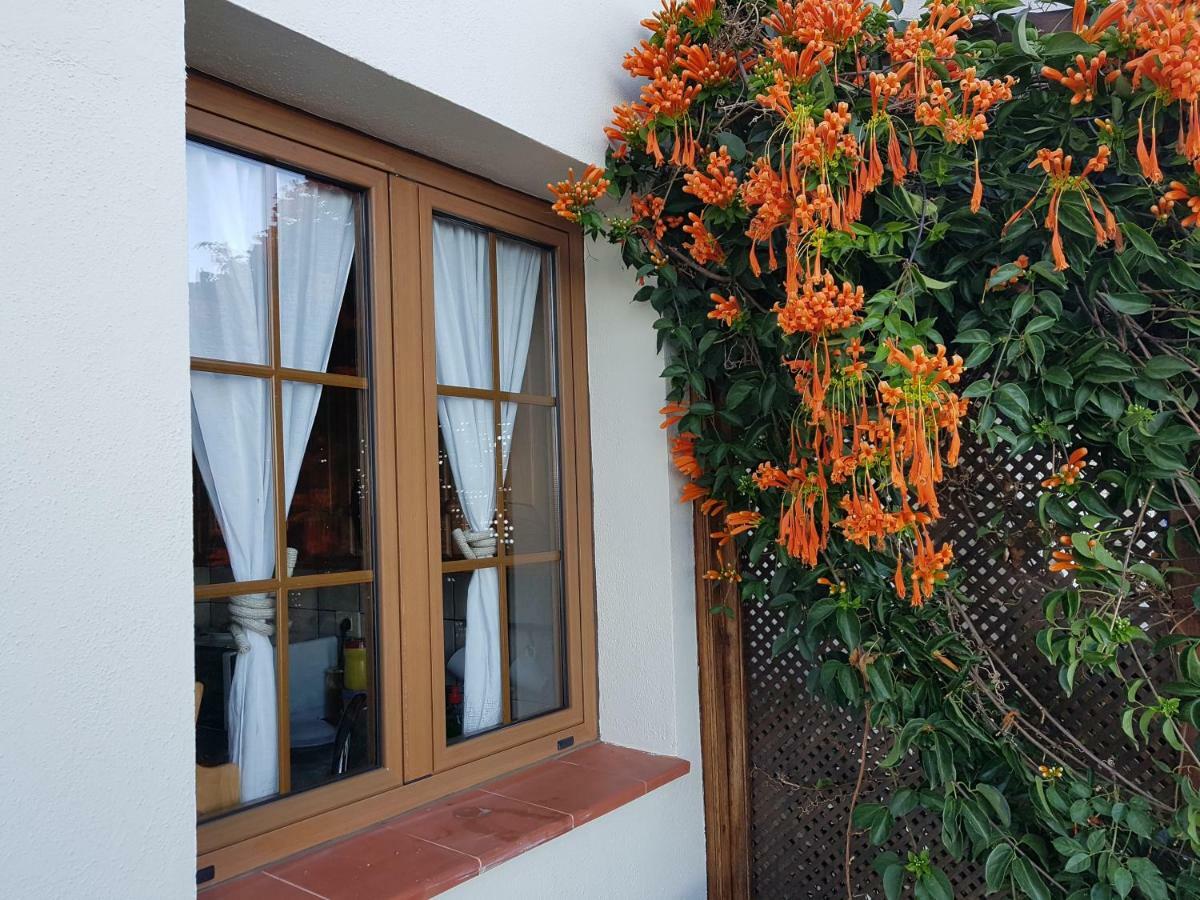Bungalows Aldani Тихарафе Екстериор снимка